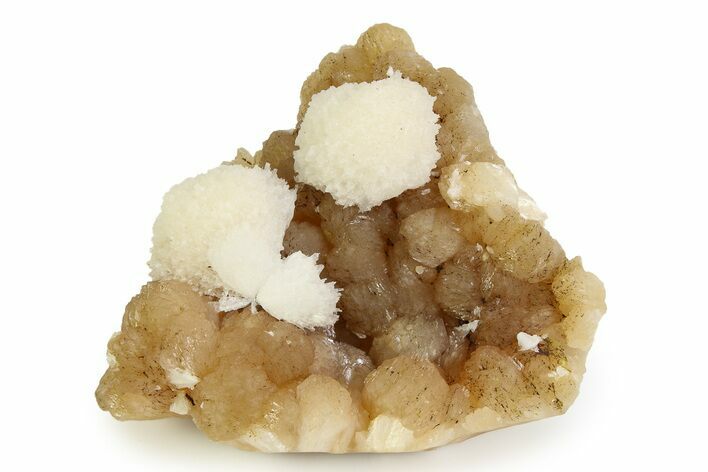 Scolecite Crystals on Honey-Colored Stilbite - India #343050